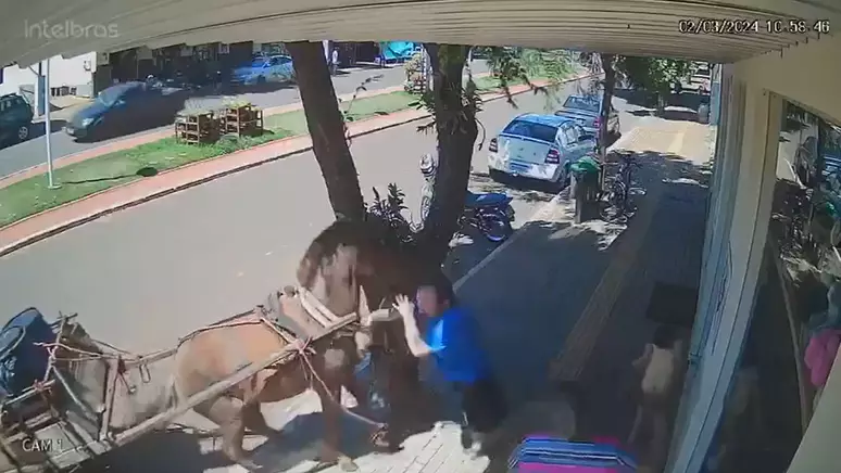 Vídeo: Vereador é atacado por burro no Centro da cidade